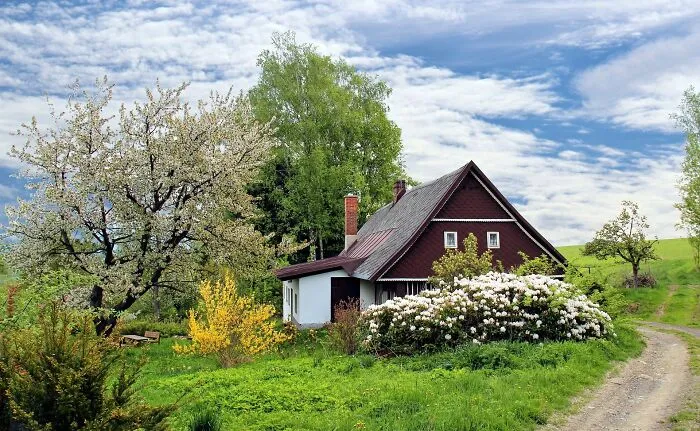 Example Image