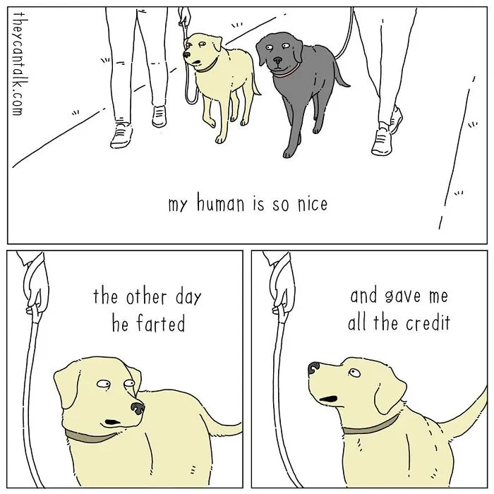 Jimmy Craig Is Back With His 'They Can Talk' Animal Comics, And Here Are 30 Newest Ones