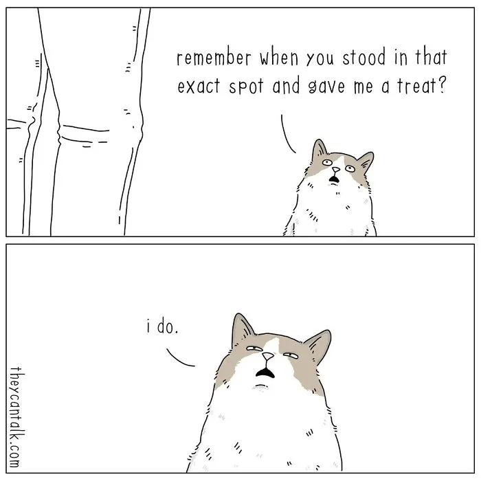 Jimmy Craig Is Back With His 'They Can Talk' Animal Comics, And Here Are 30 Newest Ones