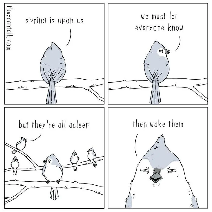 Jimmy Craig Is Back With His 'They Can Talk' Animal Comics, And Here Are 30 Newest Ones
