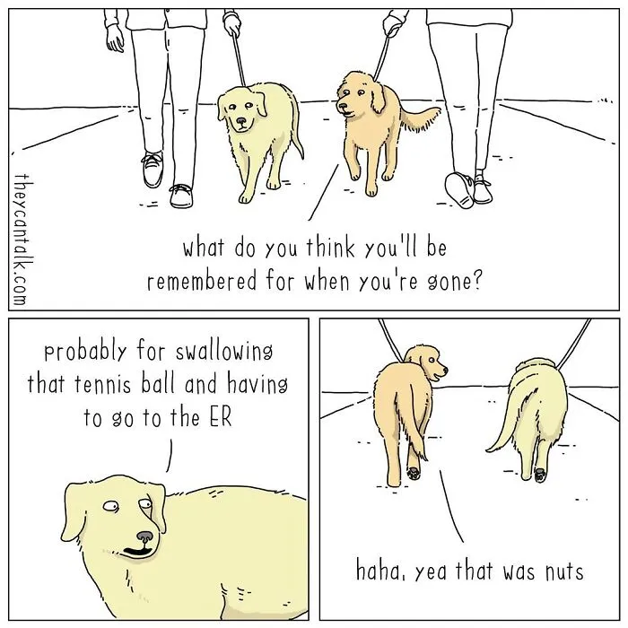 Jimmy Craig Is Back With His 'They Can Talk' Animal Comics, And Here Are 30 Newest Ones