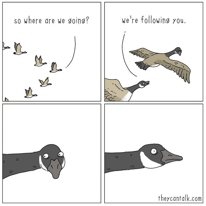 Jimmy Craig Is Back With His 'They Can Talk' Animal Comics, And Here Are 30 Newest Ones