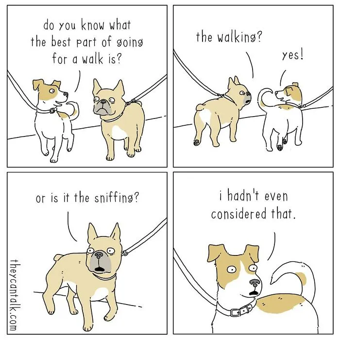 Jimmy Craig Is Back With His 'They Can Talk' Animal Comics, And Here Are 30 Newest Ones