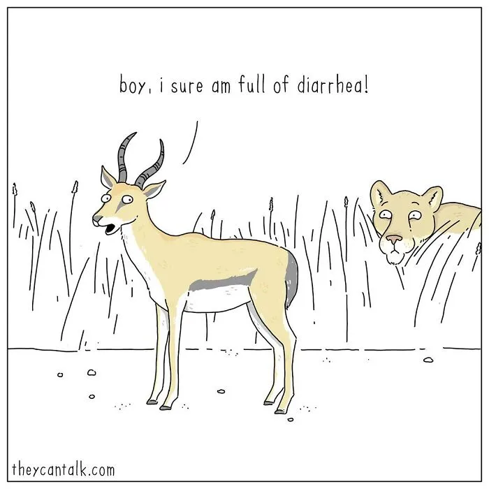Jimmy Craig Is Back With His 'They Can Talk' Animal Comics, And Here Are 30 Newest Ones