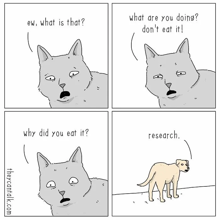 Jimmy Craig Is Back With His 'They Can Talk' Animal Comics, And Here Are 30 Newest Ones
