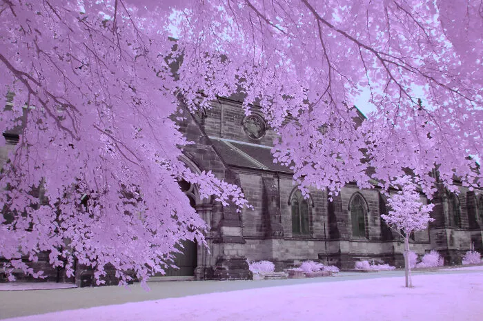 I Am A Newbie Infrared Photographer And Here Are Some Of My Best Pics So Far (15 Pics)