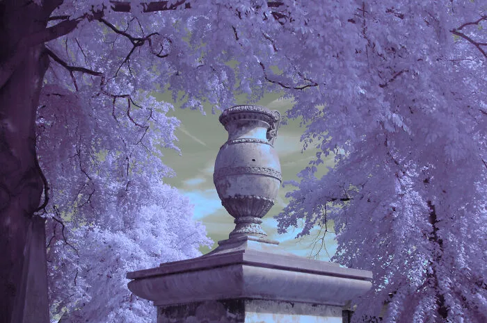 I Am A Newbie Infrared Photographer And Here Are Some Of My Best Pics So Far (15 Pics)
