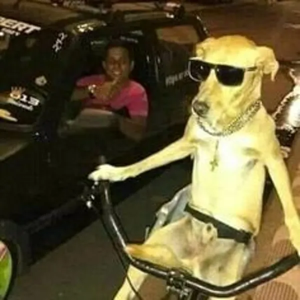 I Have Over 1000 Cursed Images On My Computer, But I'd Like More. Give Me Yours.
