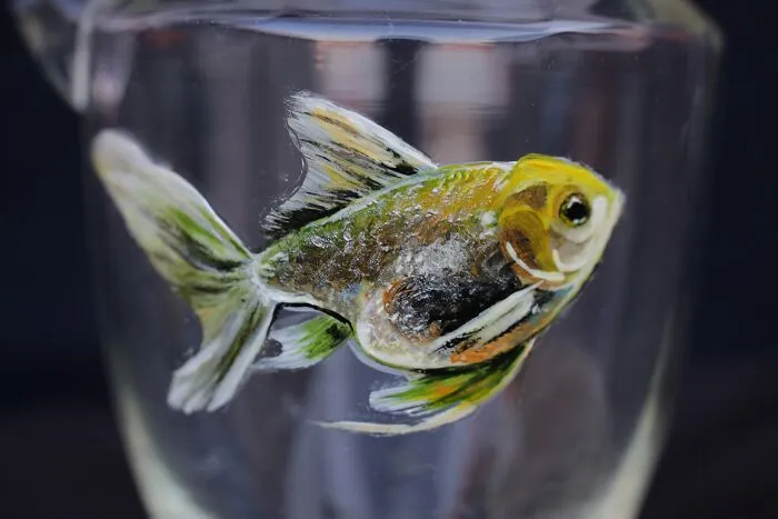 I Paint Realistic Fish On Glasses, And Went Even Further With The Concept (20 Pics)