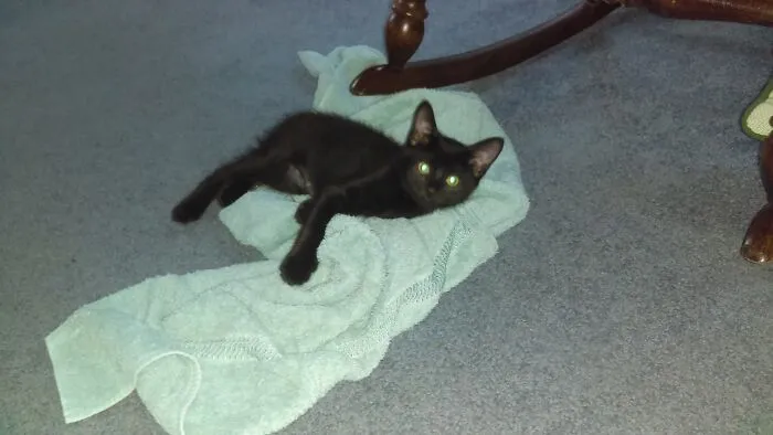 Aurora When I First Got Her