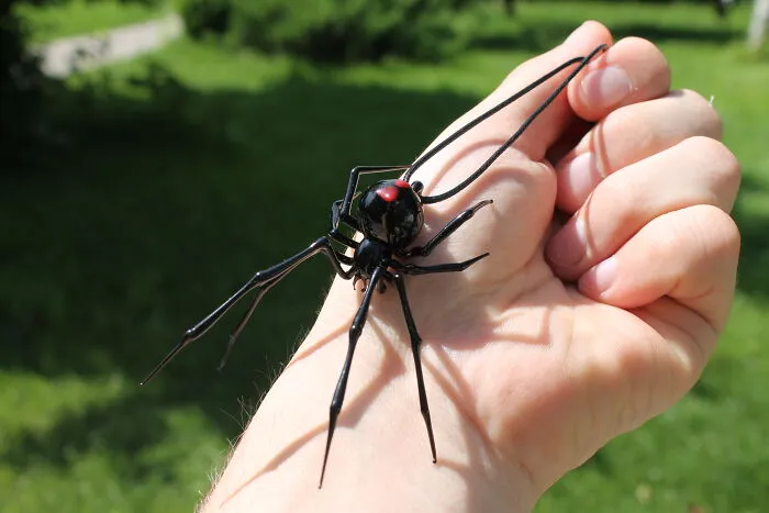 I'm An Ukrainian Artist That Creates Handmade Blown Glass Octopi And Spiders