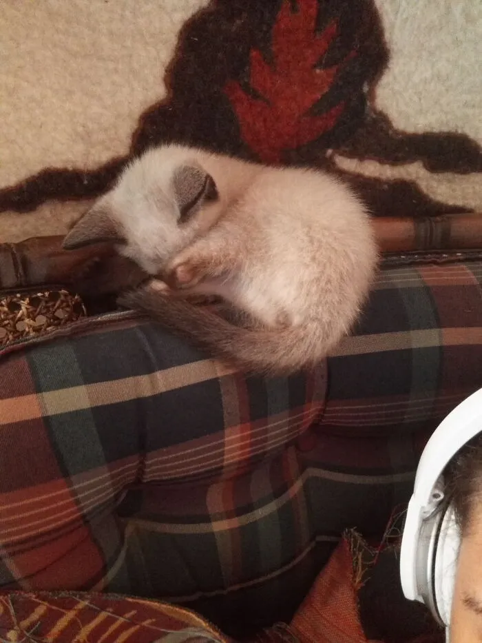 Pure Cuteness