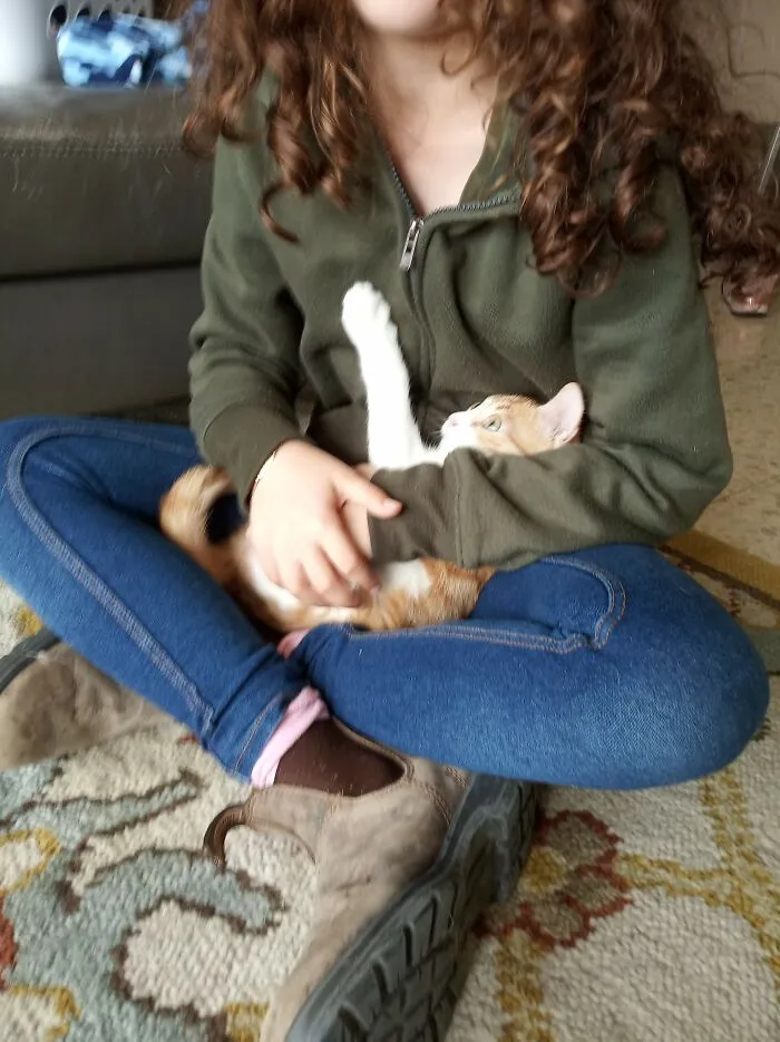 So Many To Choose From! My Cat Is A Constant Baby (I Also Have A Dog But That's A Different Story) I Managed To Narrow It Down To 3