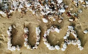 I Create "Luca"S In A Memory Of My Best Friend Who Died In An Aircrash At The Age Of 33.