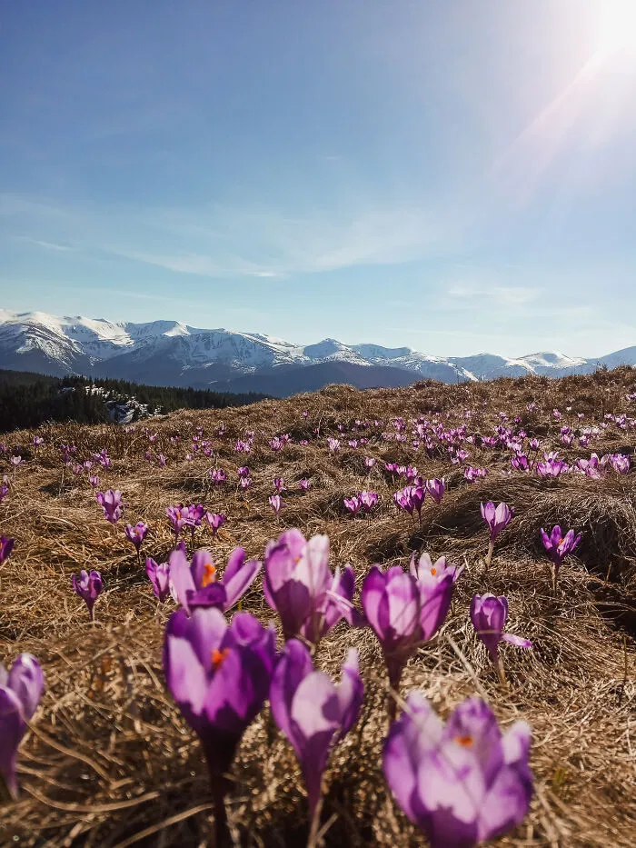 19 Breathtaking Images Of The Ukrainian Carpathians That I Took