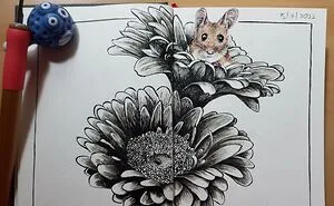 Hey Pandas, Show Me Some Art (Closed)