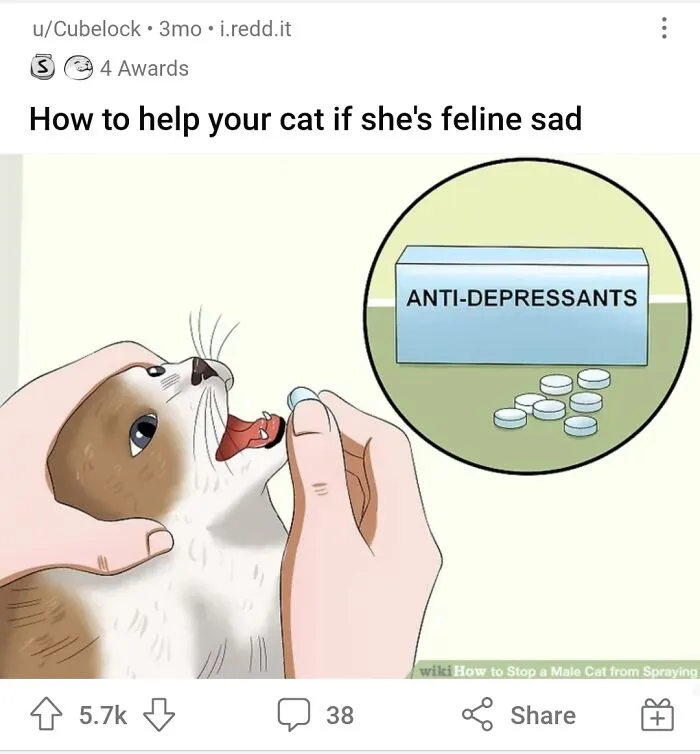 30 Funny Times People Added Clever Or Unhinged Captions To WikiHow Pics (New Pics)