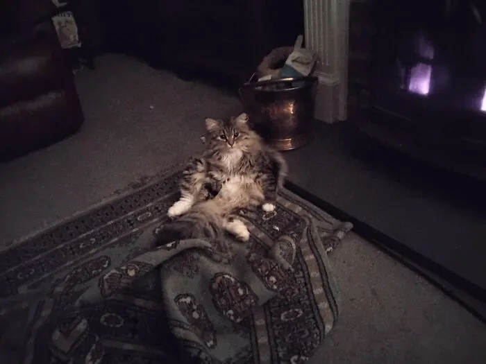 Any Room Where She Is
