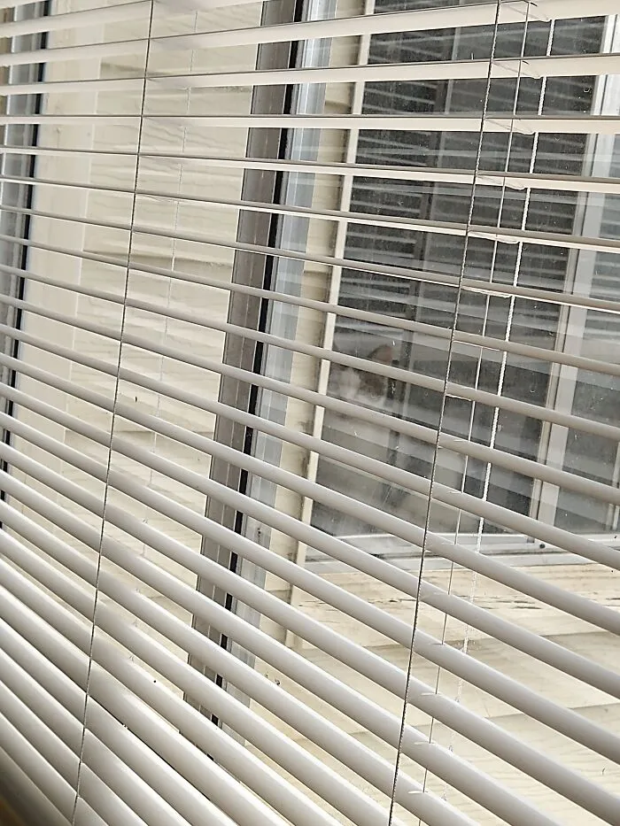 My Cat Being A Creeper