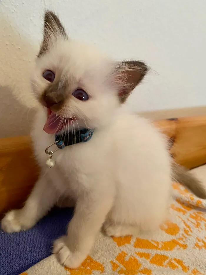My Sweet Little Dreamy Who Died Unexpectedly When He Was 6 Months And 3 Days Old