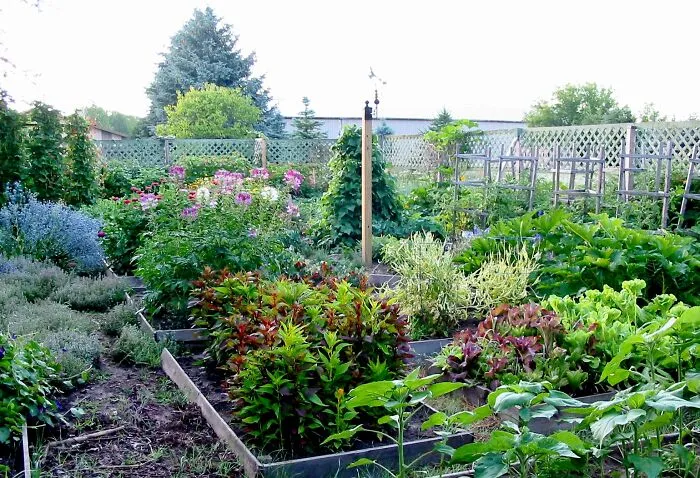 My Little Garden.