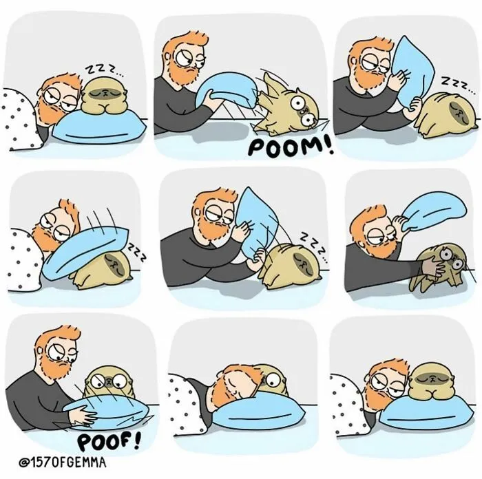 30 New Adorably Funny Comics About A Dog And Its Owner By This Artist