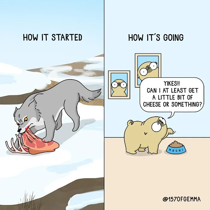 30 New Adorably Funny Comics About A Dog And Its Owner By This Artist