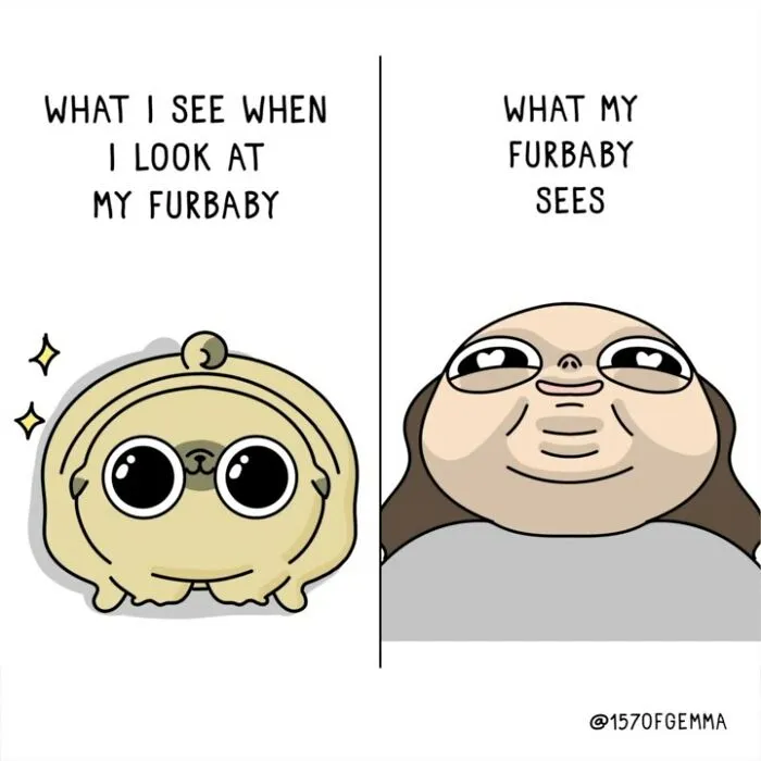 30 New Adorably Funny Comics About A Dog And Its Owner By This Artist