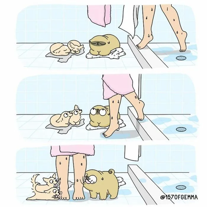 30 New Adorably Funny Comics About A Dog And Its Owner By This Artist