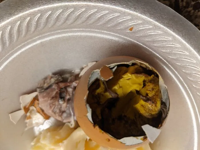 Tried Cooking An Egg. (I Think We Were Poaching It, I Forget.) Bird Still In Egg. (In Bowl) Was One Of Our Hens Eggs