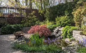 Hey Pandas, Post A Picture Of Your Garden (Closed)