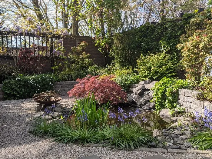 Little Dutch Garden In Spring With Some Japanese Influences
