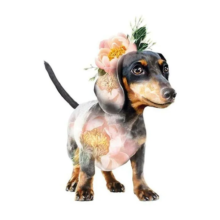 My 50 Botanical Animals That I Painted