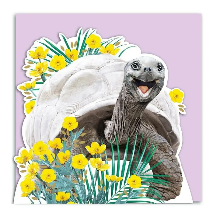 My 50 Botanical Animals That I Painted