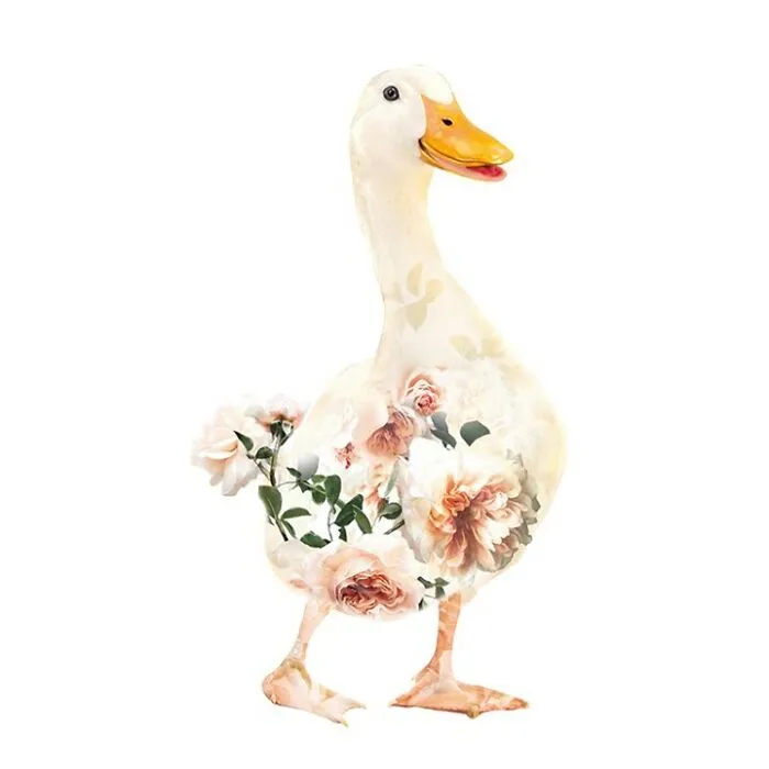 My 50 Botanical Animals That I Painted
