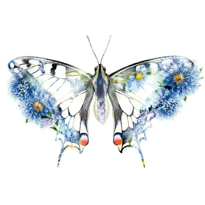 My 50 Botanical Animals That I Painted