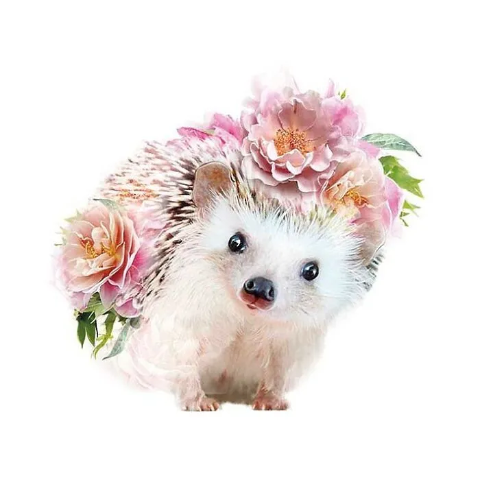 My 50 Botanical Animals That I Painted