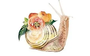 My 50 Botanical Animals That I Painted