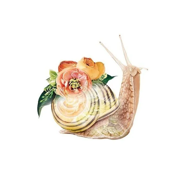 My 50 Botanical Animals That I Painted