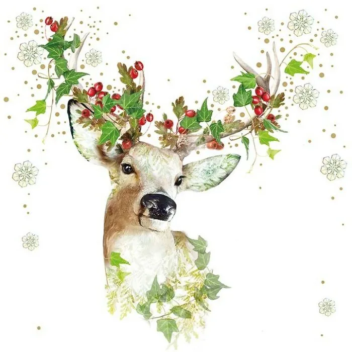 My 50 Botanical Animals That I Painted