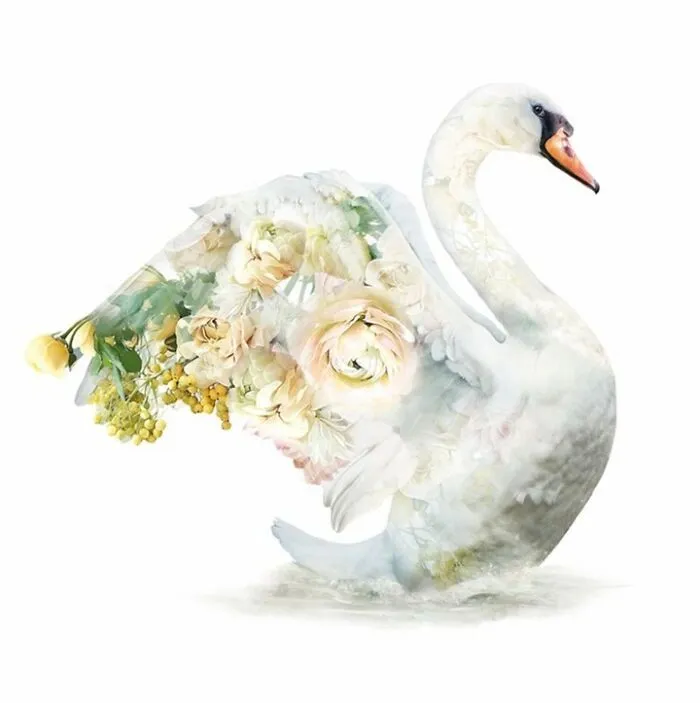 My 50 Botanical Animals That I Painted