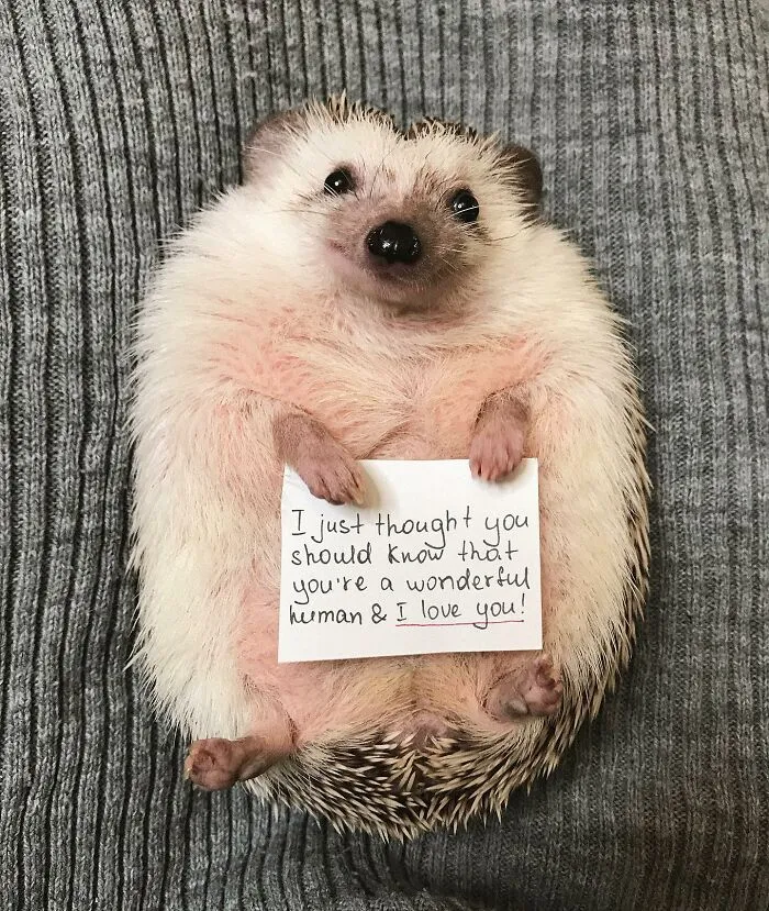 Just A Little Reminder