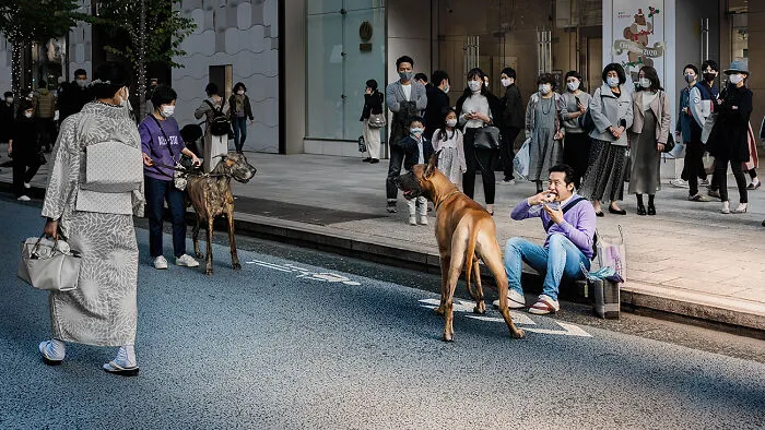 10 Photos From The Daily Life In Japan