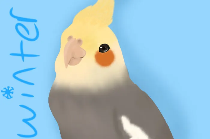 Some Art Of My Teil