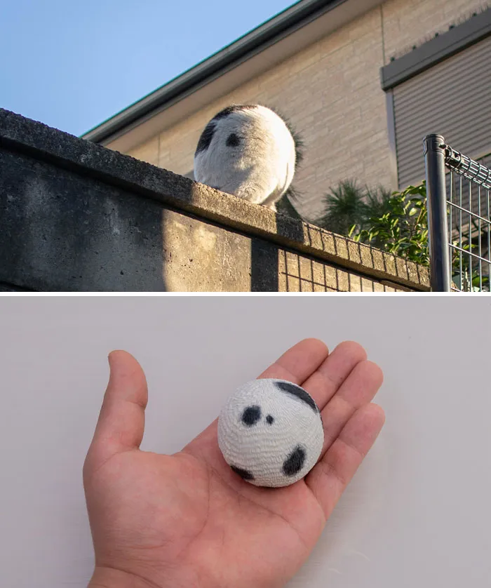 Este artista japonés transforma curiosos momentos de animales en esculturas, y el resultado es divertidísimo (40 imágenes nuevas)
