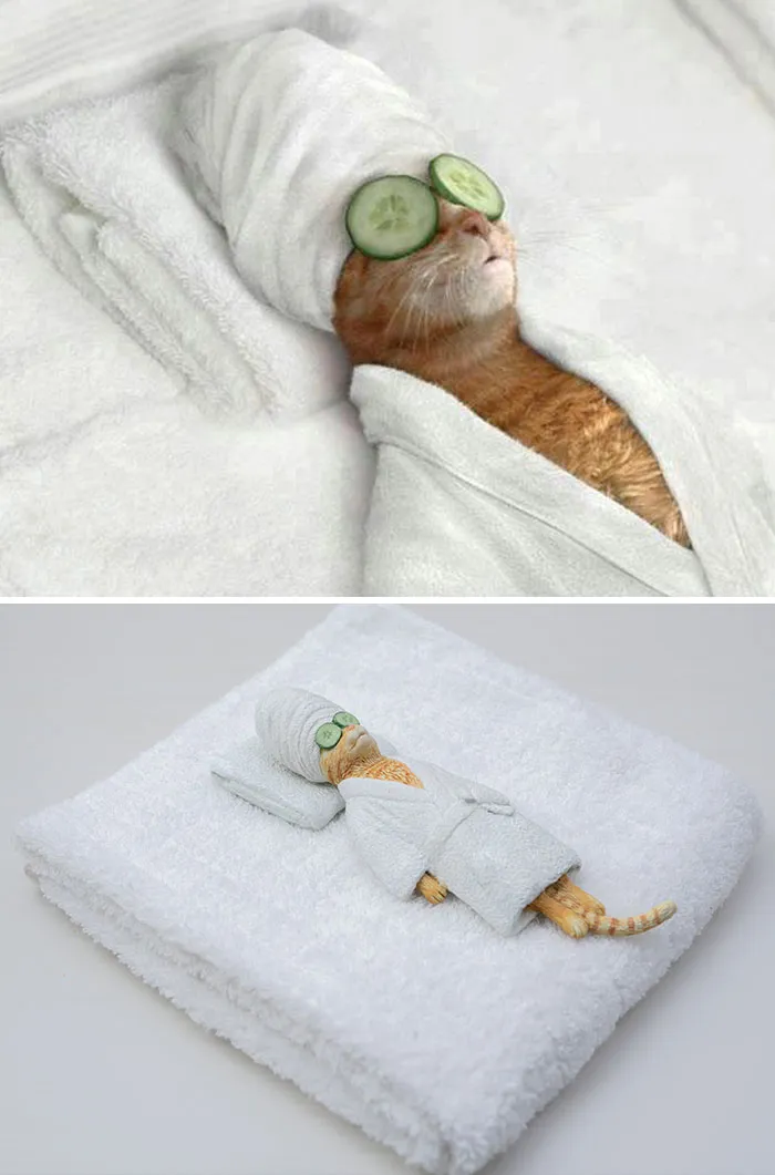 Japanese Artist Turns 40 Iconic Animal Memes Into Sculptures, And It's Hard To Tell Which Are Funnier (New Pics)