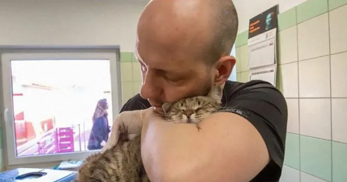 Brave Vet Rescues Traumatized Pets From Ukraine And Delivers Them To Safety