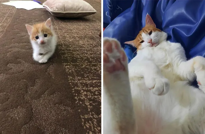 Antes y después