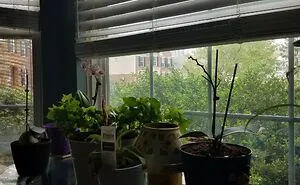 Hey Pandas, Show Us The Best Spot In Your Home (Closed)