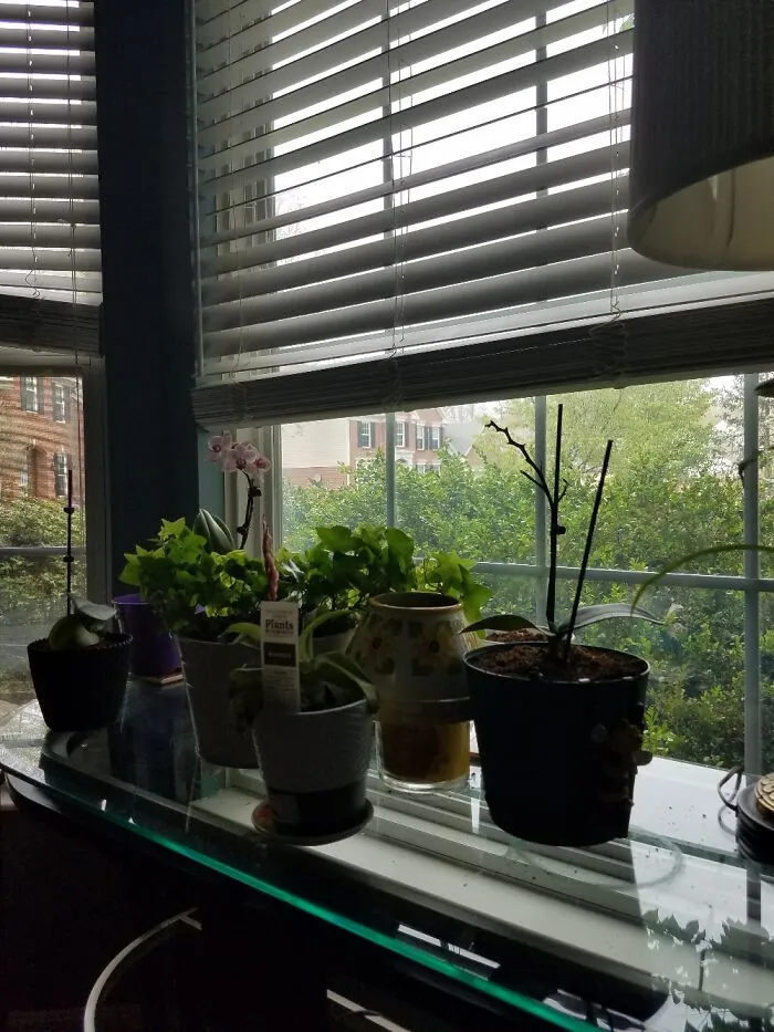 My Big Bay Window
